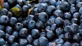 Blueberries