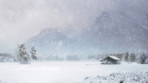 Winter forest and house
