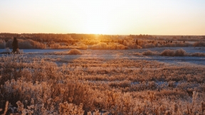 Winter sunrise