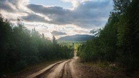 A road in the forest